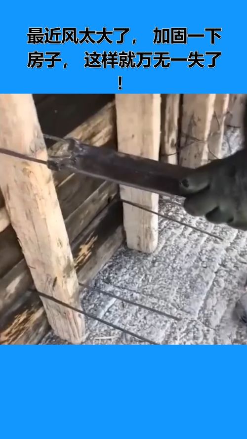 房屋加固指南 抵御強(qiáng)風(fēng)，構(gòu)筑安全家園